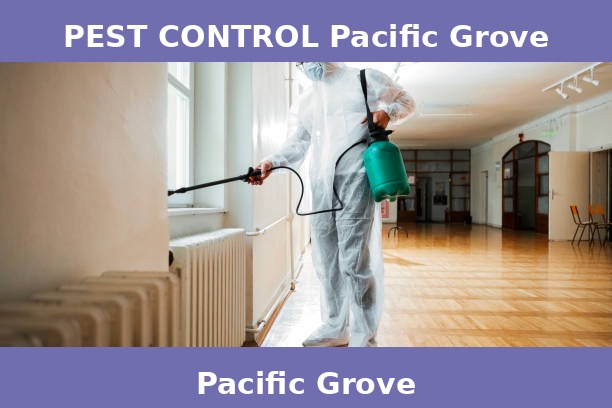 PEST CONTROL Pacific Grove